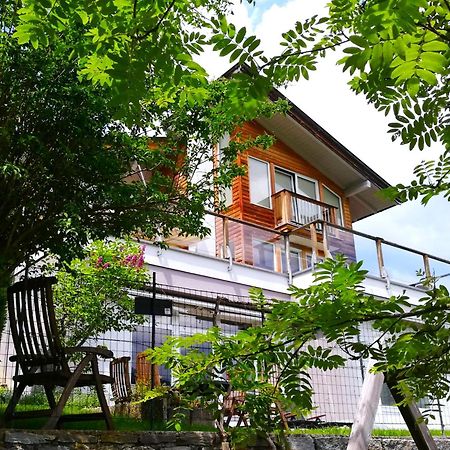 Ferienwohnung Hoellwart - Exclusiv, Ruhige Lage, Panoramablick Bischofshofen Exteriör bild